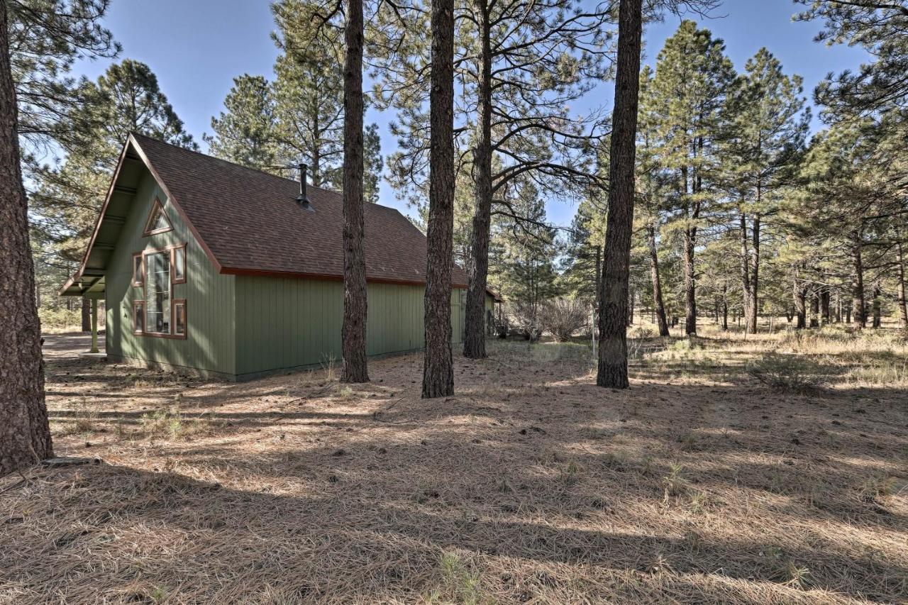 Family-Friendly Forested Home With Snow Play Area! แฟลกสตาฟ ภายนอก รูปภาพ